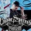 Chart track
